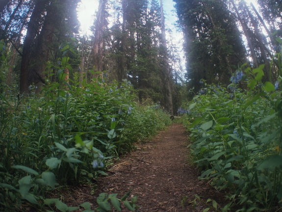 Baker Gulch Trail